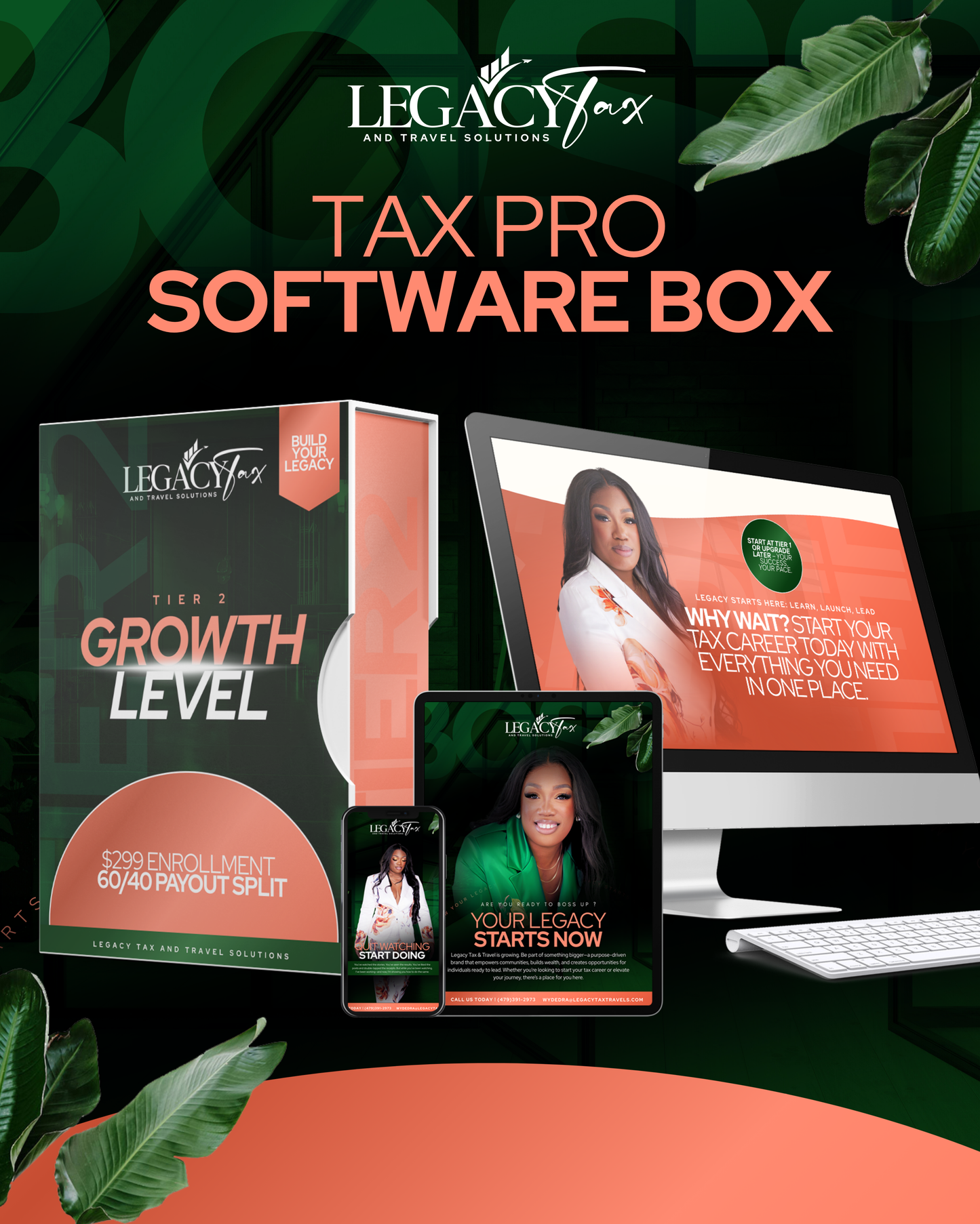 Tax Pro Software Box Design ( 1 design Covers up to 4 tiers )